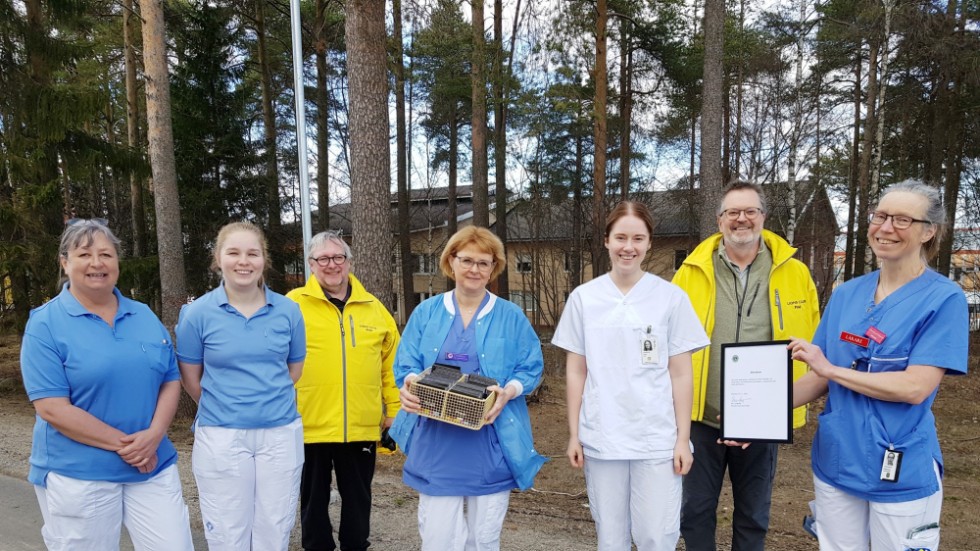 En del av Iva-personalen i Piteå tillsammans med Lions representanter Leif Lidman och Dan Ljungkvist. Från vänster Lena Andersson, Lotta Curdén, Christina Lundqvist, Lisa Berg och Catharina Lysell Bergström.