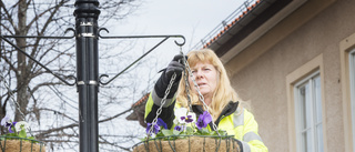 Nu är sommarblommorna på plats i Trosa