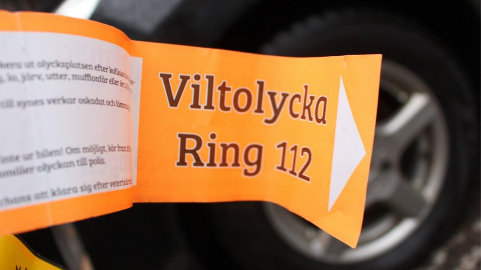 Ett stort antal viltolyckor har rapporterats i Sörmland under fredagen.