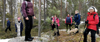 Toppvandrare var som kalvar på grönbete