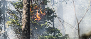 Eldningsregler stramas upp efter kaoset 2018