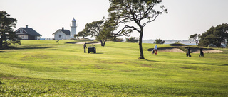 GLÄDJEBESKED: Sveriges bästa golfbana finns på Gotland