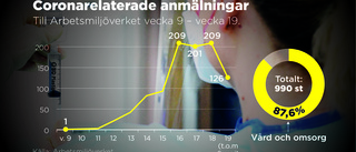 Arbetsmiljöverket: Det fanns för lite kunskap