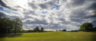 Bygg inte på alla älskade grönområden