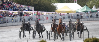 Tuff lottning för Elitloppsveteranen