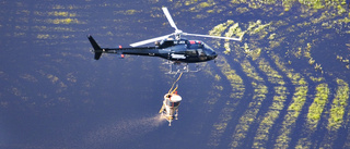 Grönt ljus för myggbekämpning med helikopter