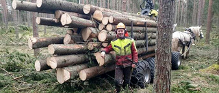 Skogsägaren varnar för skadedjur i skogen