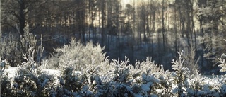 Vackert landskap vann i december