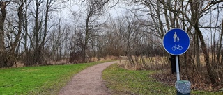 Sly röjs bort längs populära promenadstråket 