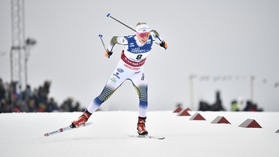 Lisa Vinsa, Piteå Elit, åker premiären av Skandinaviska Cupen
