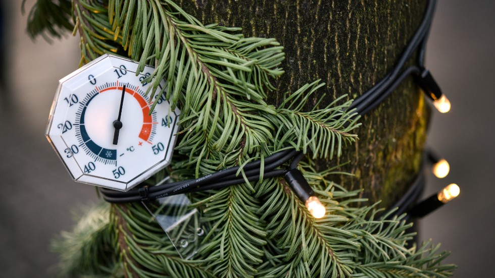 Januari månad slog värmerekord. Det visar väderdata från SMHI.