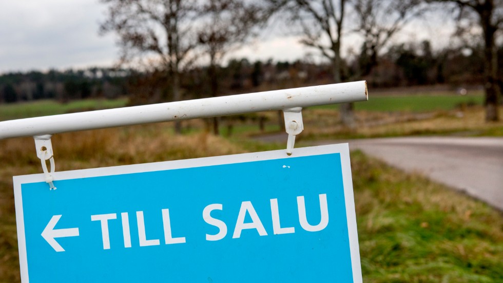 Mäklaren har köpt och sålt en fastighet inom tre dagar och gjort en ansenlig vinst.