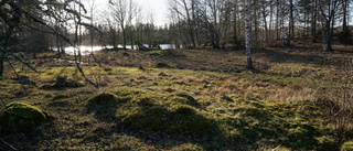 Nytt nej till bostadsområde på betesmark