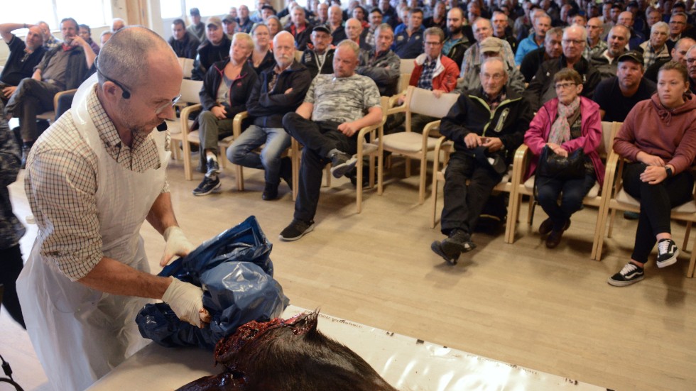 Erik Ågren, statsveterinär på Statens veterinärmedicinska anstalt, visade på ett välbesökt möte i Arjeplog hur CWD-provet ska tas ur älghuvudet. Mer än 600 prover skickades in efter jakten. (Arkiv)