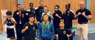 Medaljer till BK30-boxare i Gripen Cup