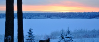 Jägare sågar Naturvårdsverkets förslag