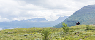 BBC:s väldiga naturdokumentär vill filma i Abisko