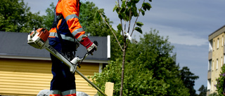 Åtstramningen: Sommarjobben nära nog halveras