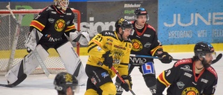 Horsky: "Det är bara en hockeymatch"