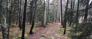 Nytt naturreservat utanför Stigtomta