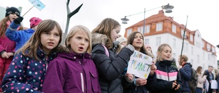 Nu blir det global skolstrejk för klimatet