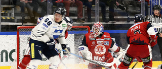 Ward är näst bäst i Hockeyallsvenskan