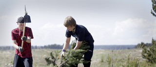 Hög tid söka feriejobb hos kommunen