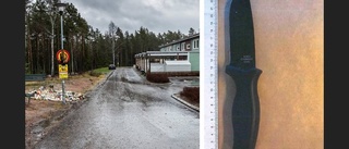 Yrkade på sluten ungdomsvård för mord