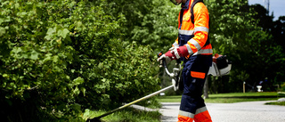 Mer pengar till kommunala sommarjobb