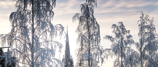 Väder: Snöbyar, klart och kallt