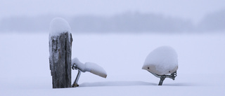 Gott om snö i Arjeplogsfjällen