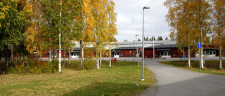 Man döms för inbrott i skola i Älvsbyn