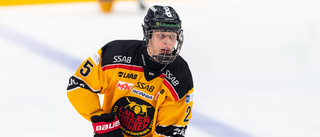 Från Vännäs J18 till SHL: "Häftig upplevelse"