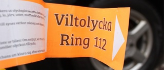 Fordonsskador efter viltolyckor