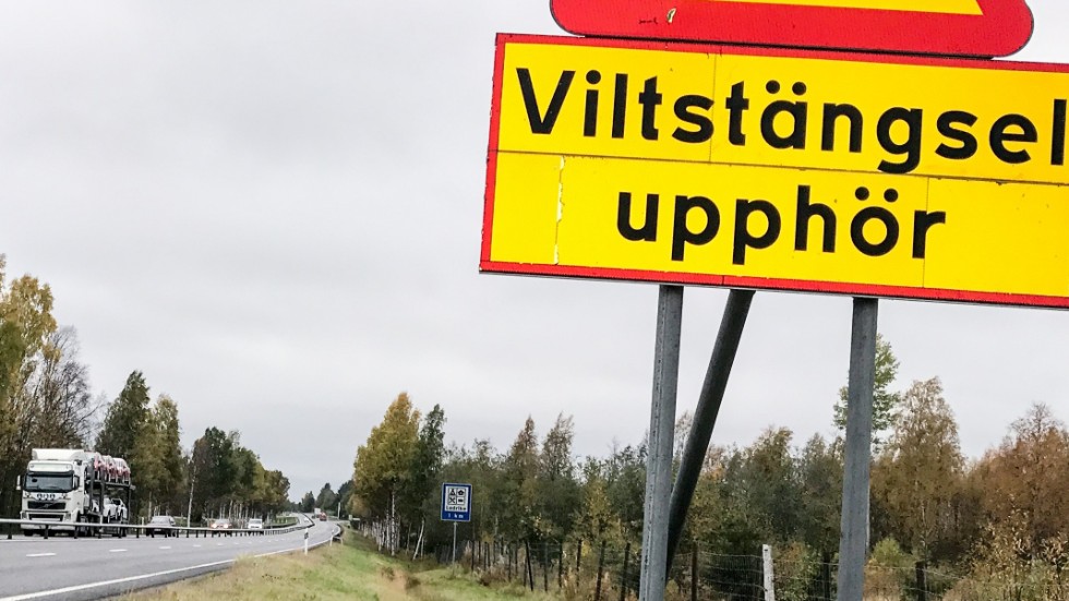 Varför dröjer ni? Bygg viltstängsel nu! menar skribenten.