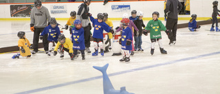 Prova-på-dag ska locka fler till hockeyn