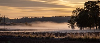 Kylig morgondimma vann vår tävling