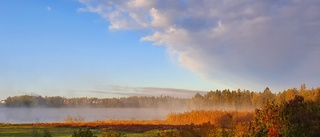 Läsarnas egna bilder från Finspång