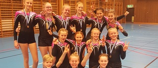 Fina insatser från gymnasterna