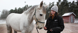 Sökandet efter Lilla Gubben har gett resultat