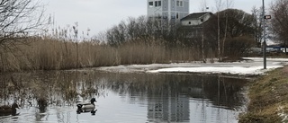 Vattenkvalité helt avgörande för kallbadhus