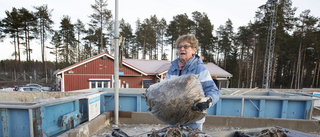 Snart kan du återvinna dygnet runt