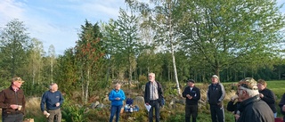 Skogsdag vänder sig till hela familjen