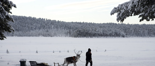 Live 11:00: Se Greta tala i Jokkmokk 