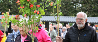 Gratisblommorna tog slut på 15 minuter