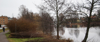 Nu kan de boende börja se vattnet