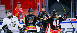 Hjärnskakning i hockey – en livslång smäll