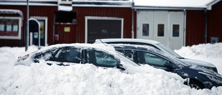 Vintervänner – passa på och njut!