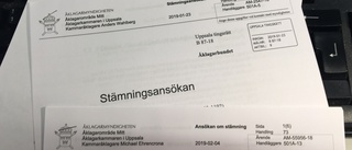 Datastopp hos åklagarna försenar åtal