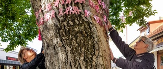 Rosa bandet manifestation saboterades 